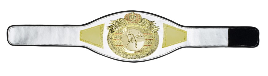 *NEW* PROICON THAI BOXING CHAMPIONSHIP BELT/G/TBOG - AVAILABLE IN 6+ COLOURS